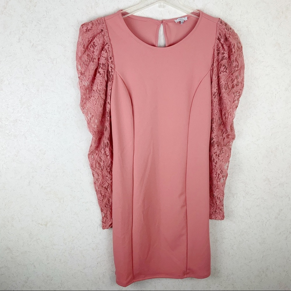 Iris floral lace balloon sleeves blush pink dress romantic - Picture 1 of 12